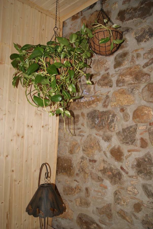 Apartament Codina 40 Apartamento Torroella de Montgrí Exterior foto