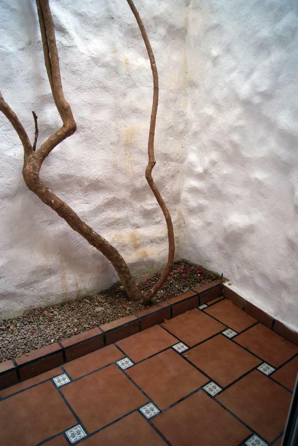 Apartament Codina 40 Apartamento Torroella de Montgrí Exterior foto